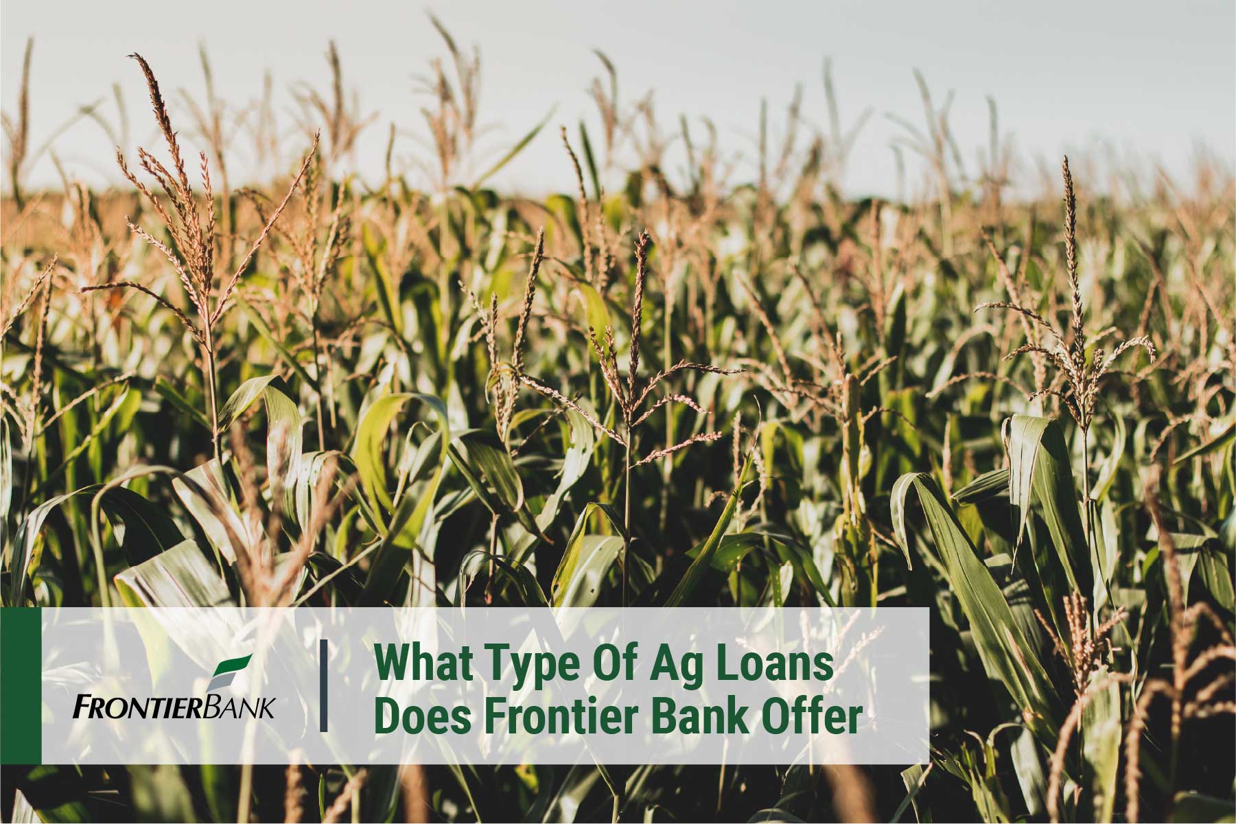 What types of ag loans does frontier bank offer with