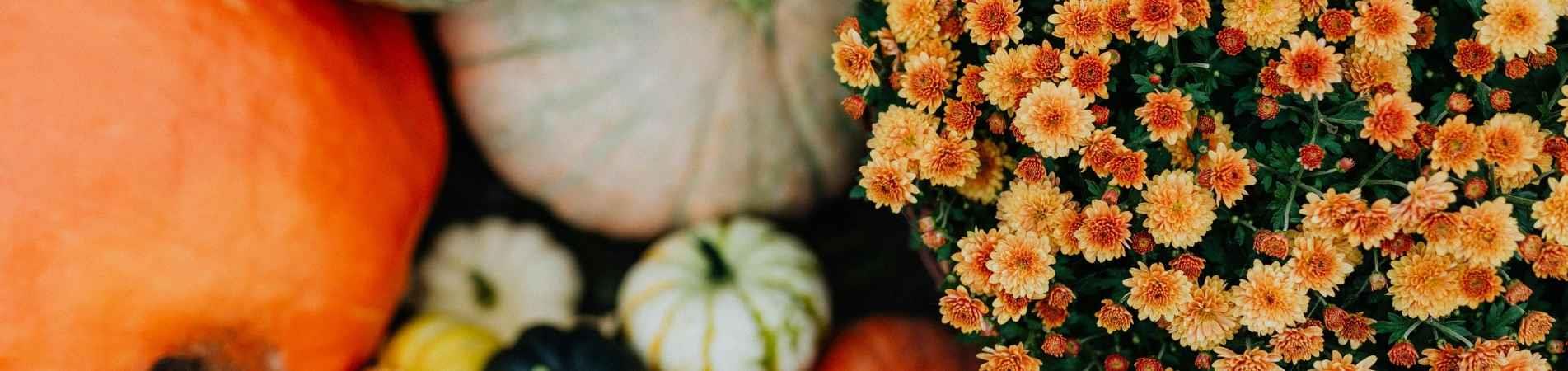 image description here