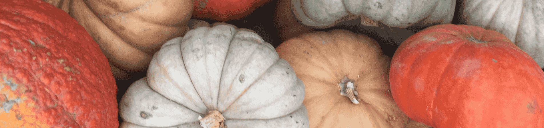 image description here